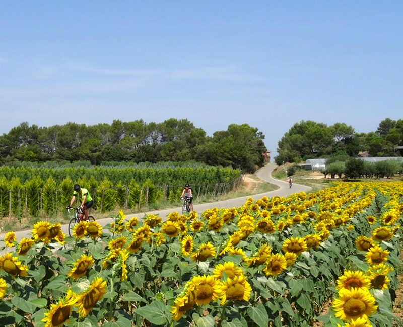 What to pack for a self-guided cycling tour in Spain