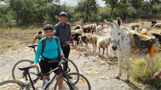 bike tour of madrid