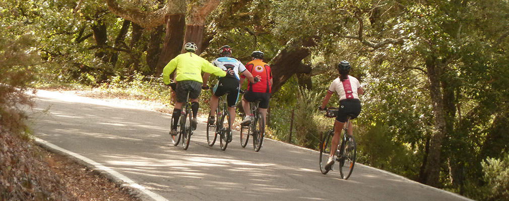 Andalucía custom family wine tour. October 2014