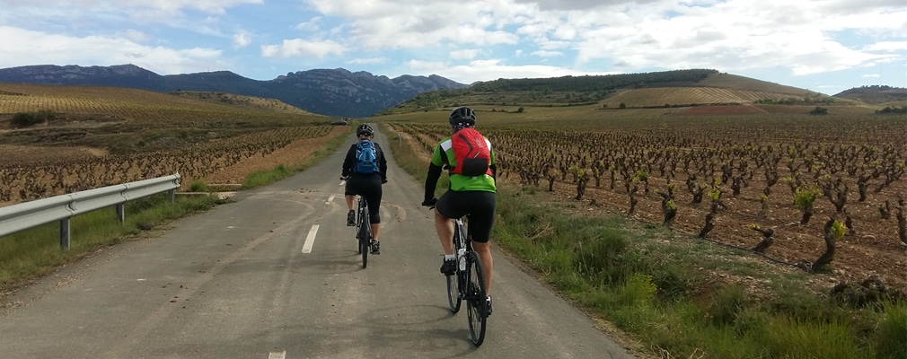 Guided Tour Rioja & Ribera