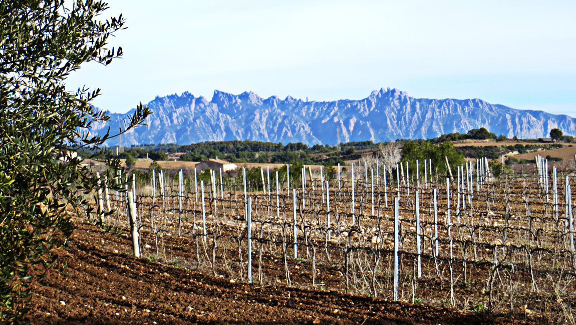 Empordà: Food and Wine Self-Guided