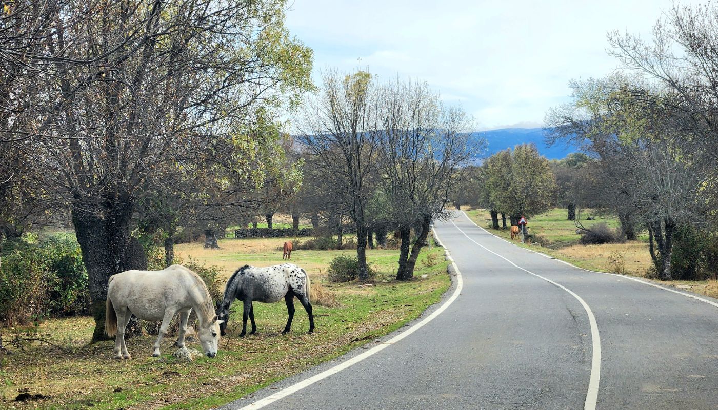 Madrid Self Guided Bike Tour