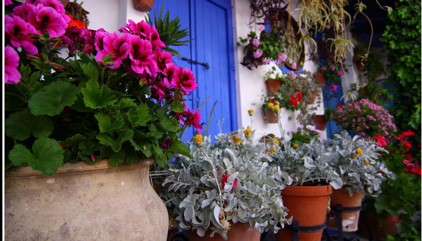 Andalusia Deluxe Bike Tour