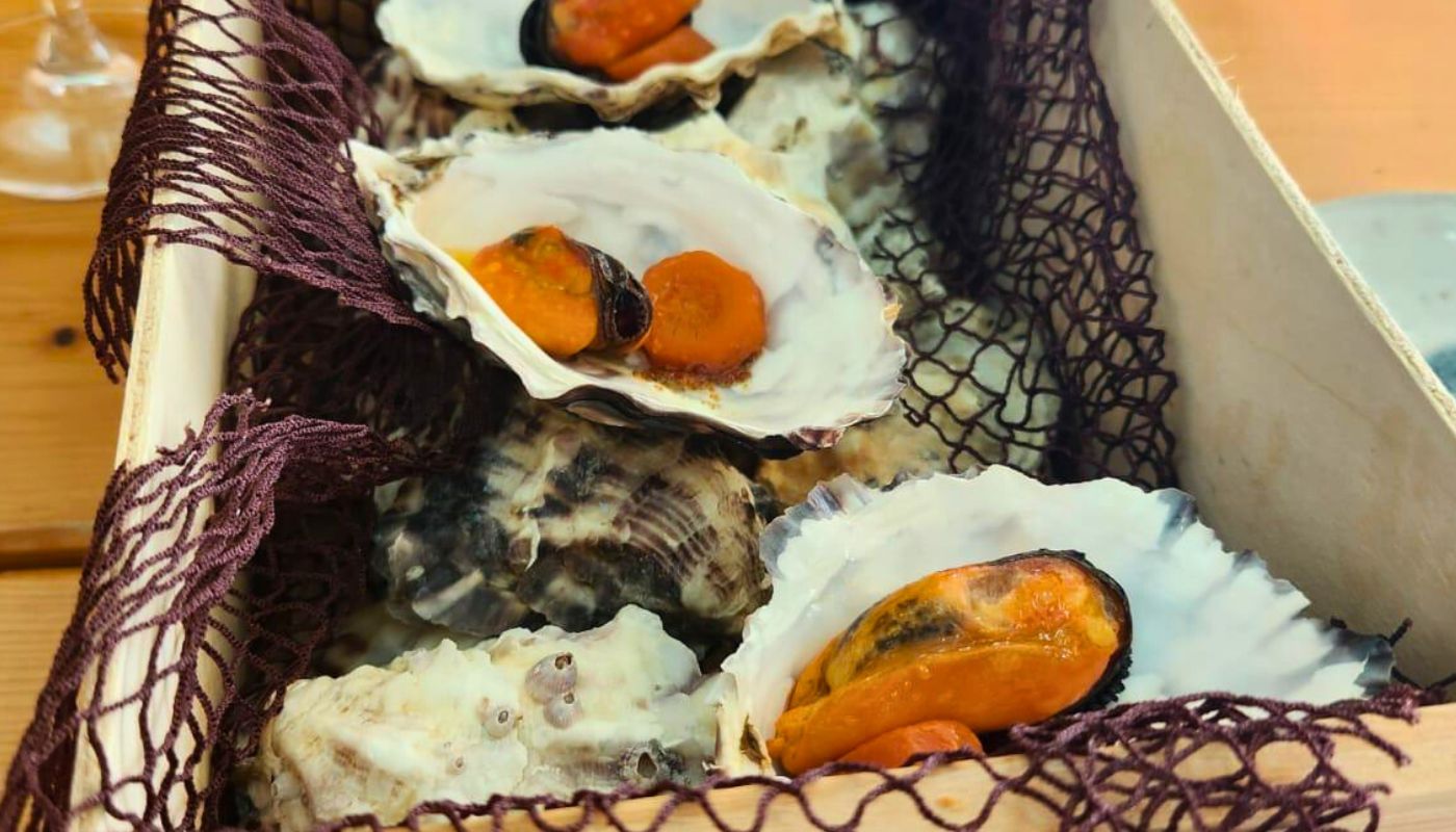 Camino de Santiago Bike Tour from Porto (Portugal)