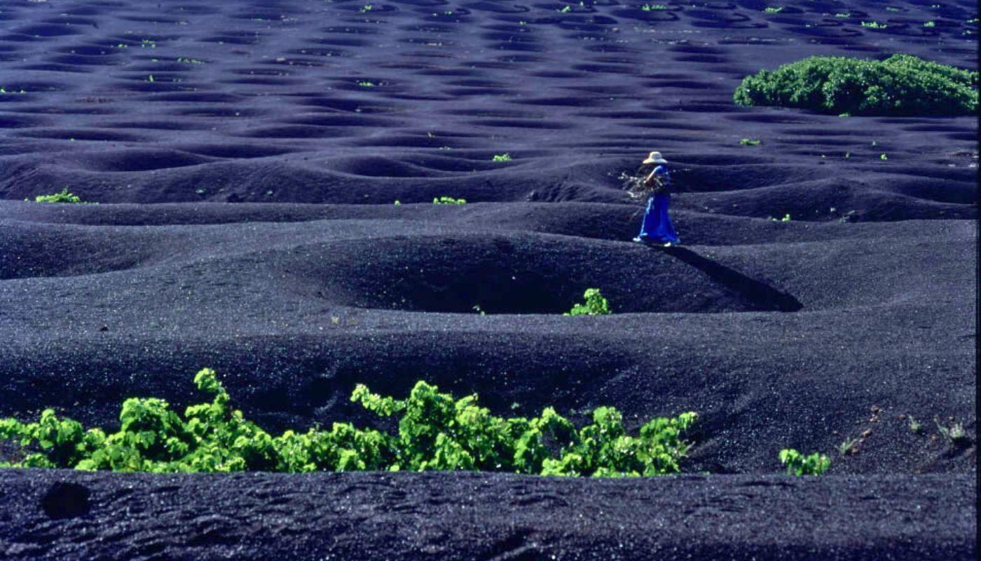 Lanzarote Self-Guided Bike Tour