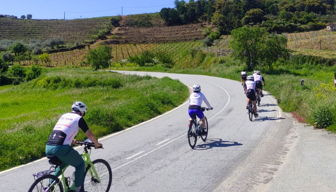 La Rioja and Ribera del Duero Bike and Wine Tour
