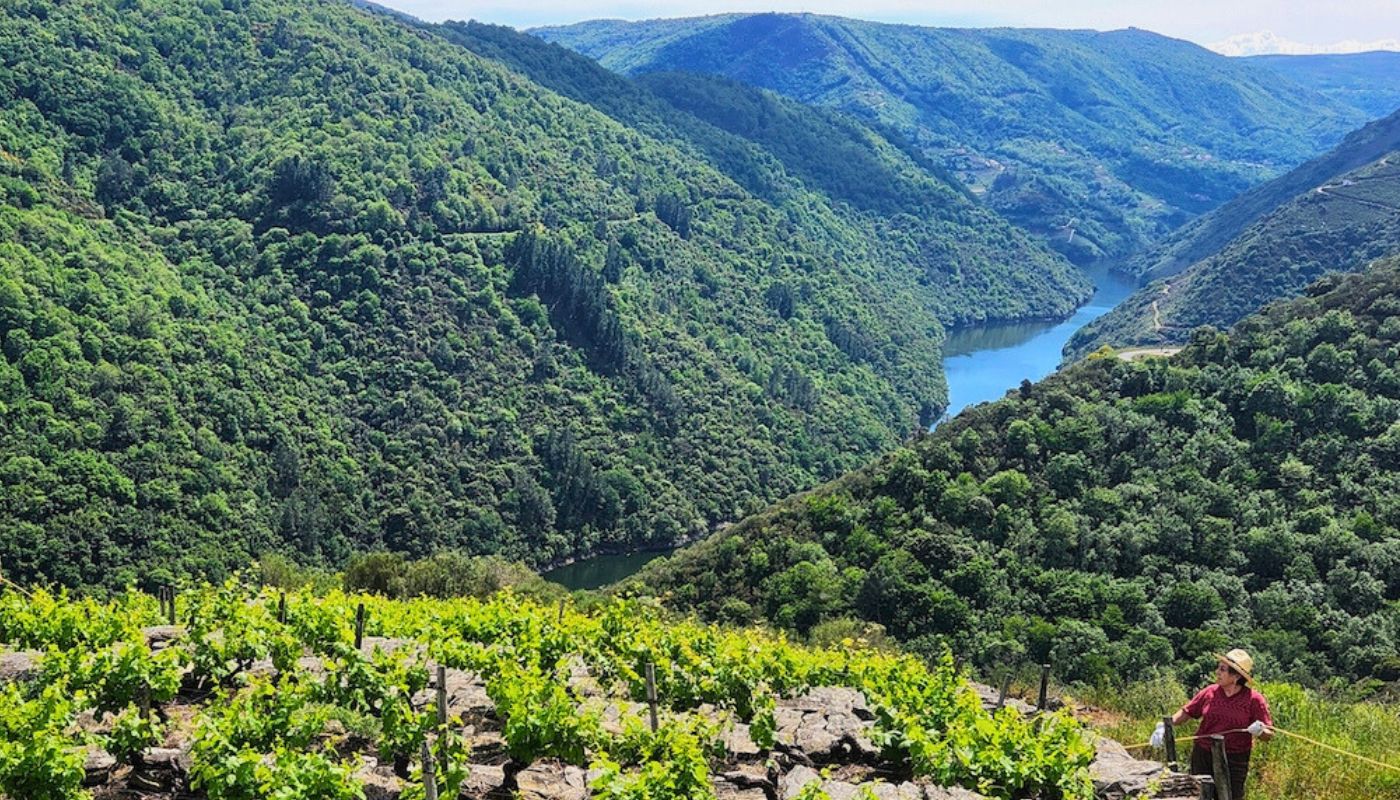 Camino de Santiago Bike Tour from Burgos