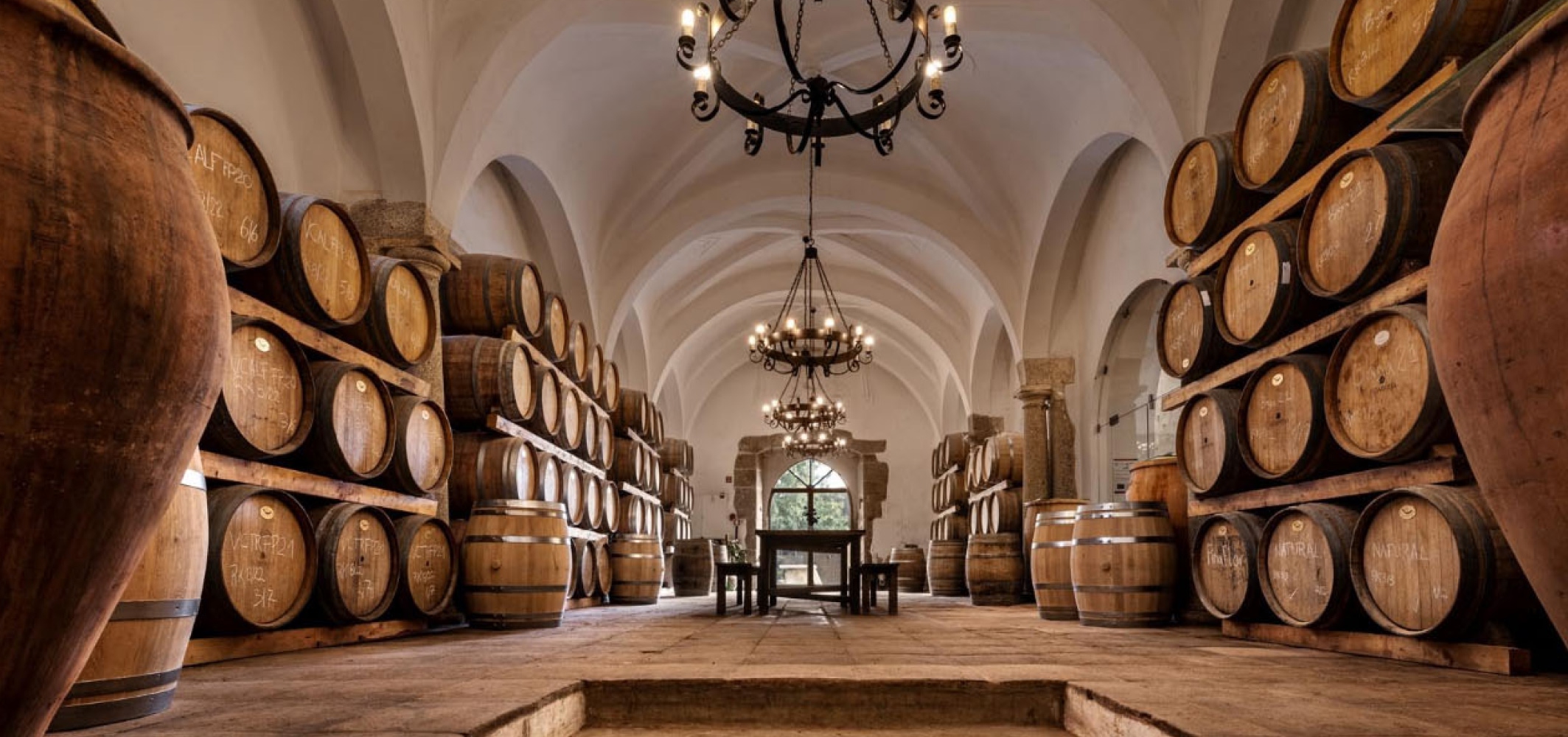 cycling-wine-tour-rioja