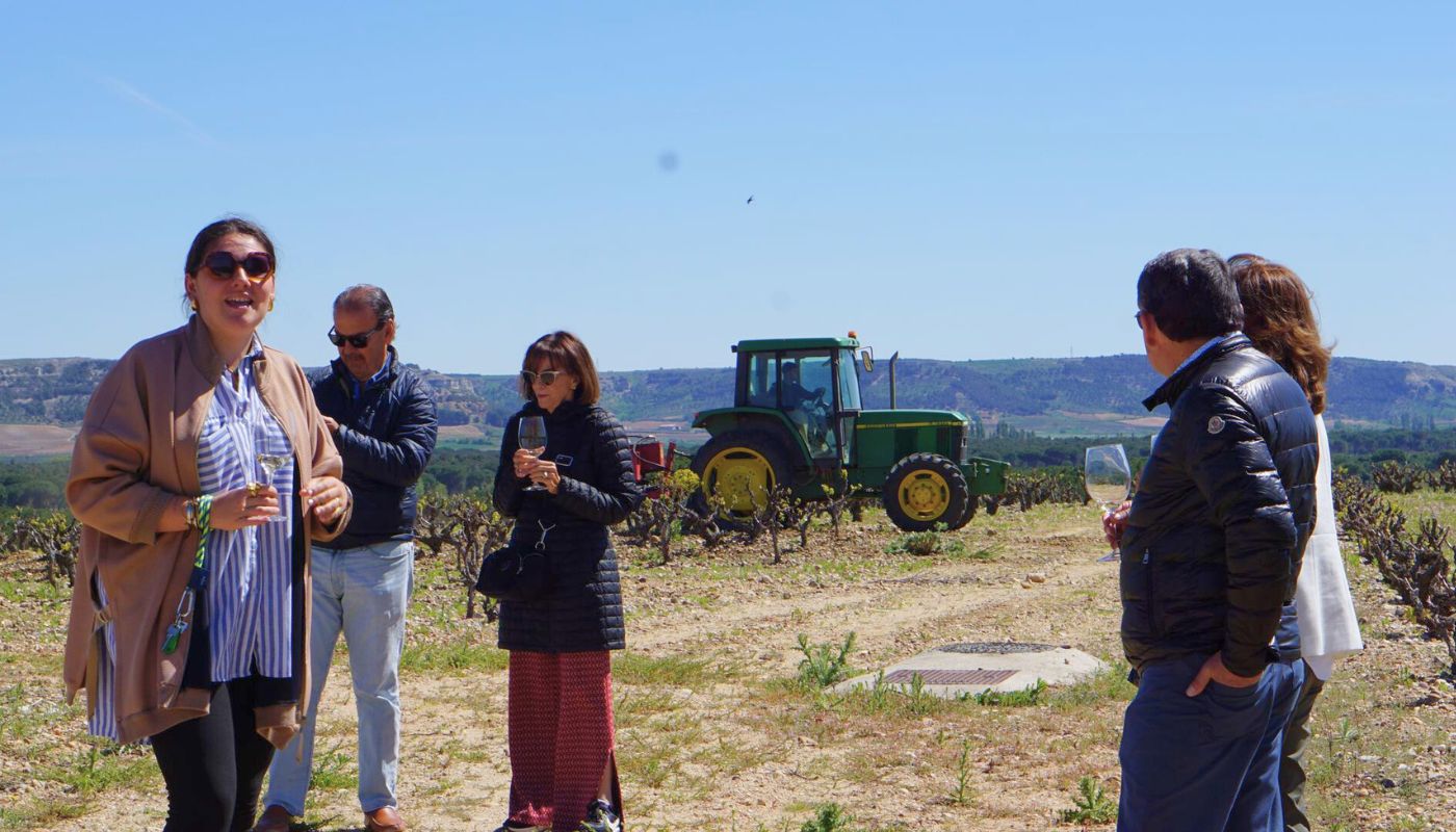 La Rioja and Ribera del Duero Bike and Wine Tour