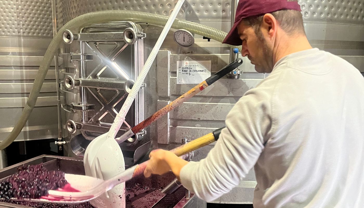 La Rioja and Ribera del Duero Bike and Wine Tour