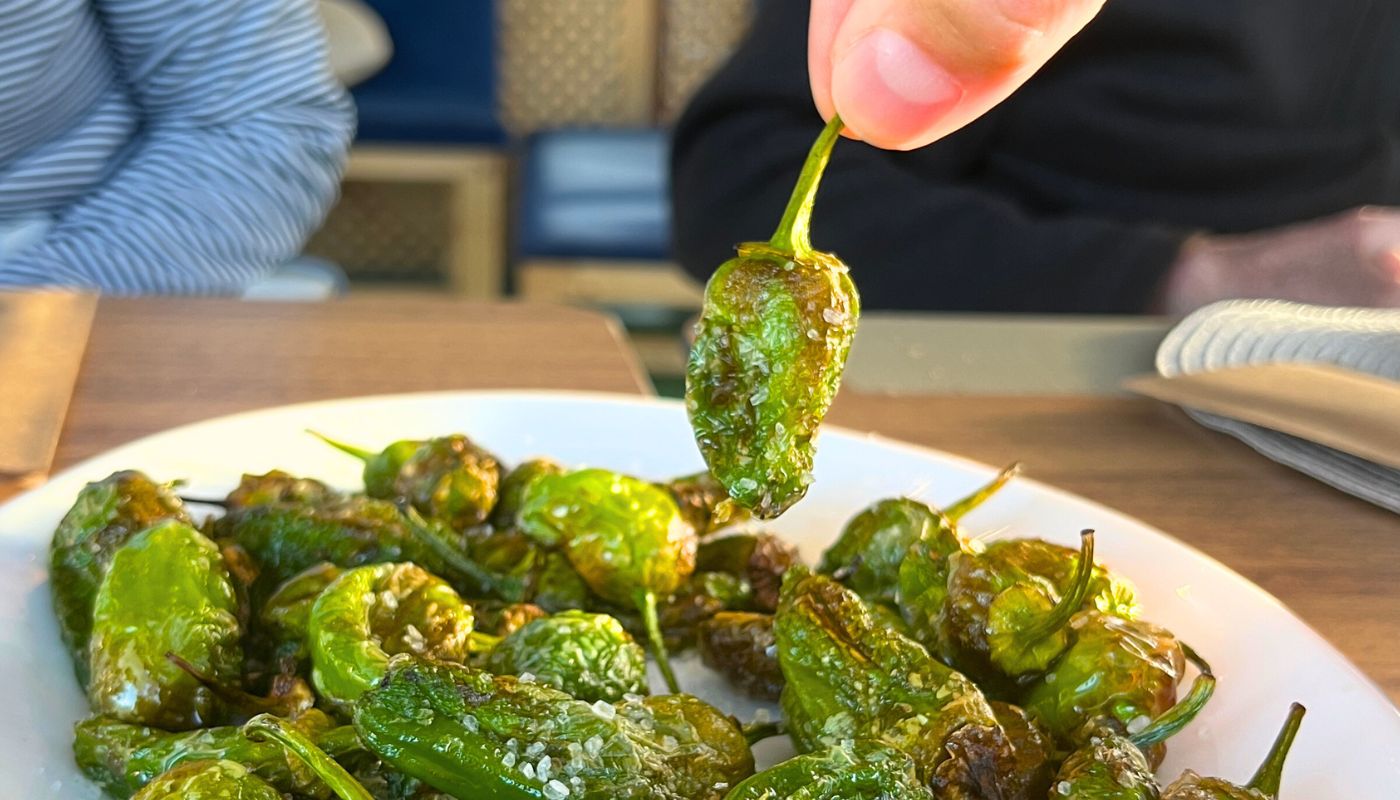 Camino de Santiago Self-Guided Bike Tour from Porto (Portugal)