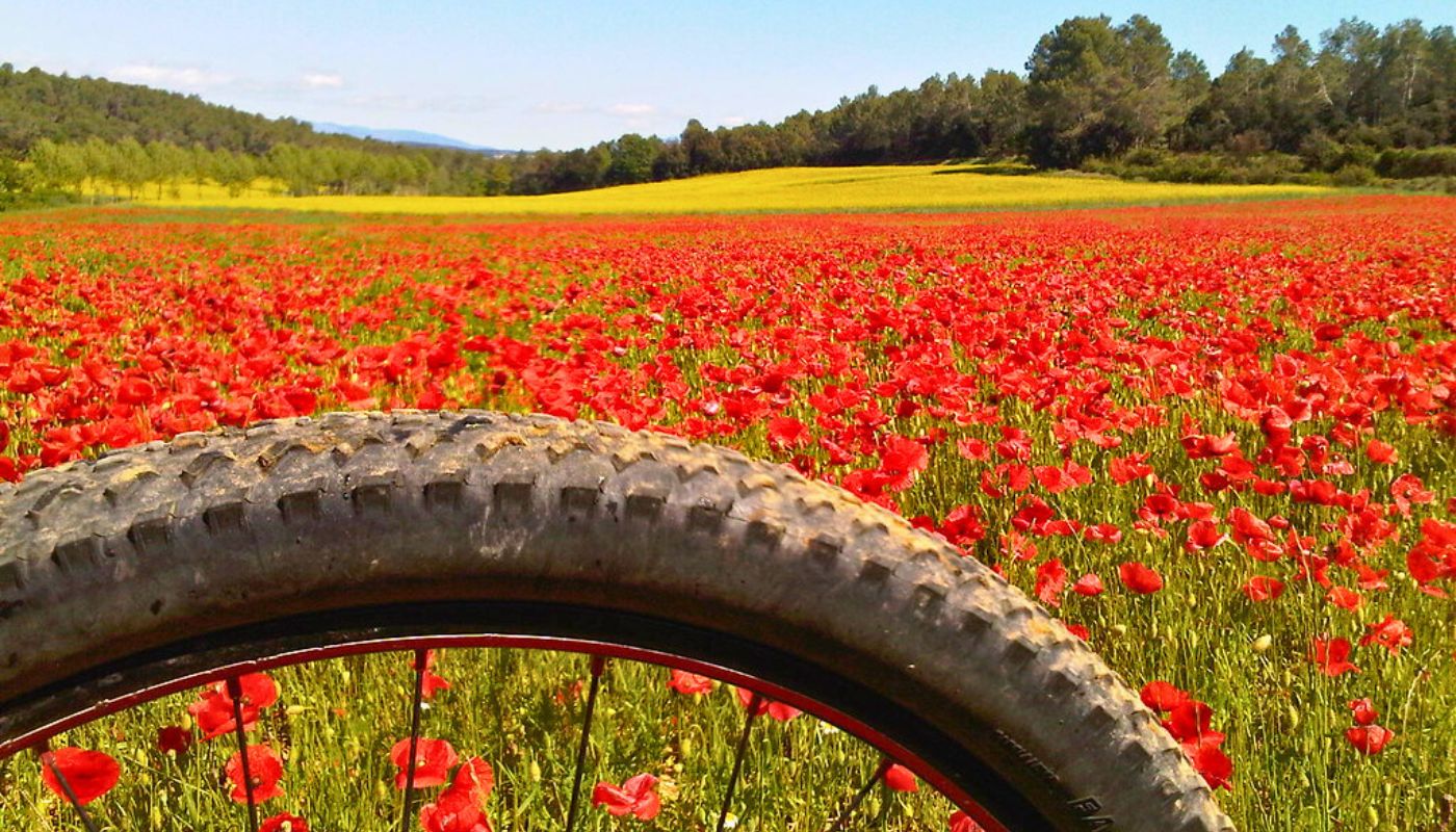 Costa Brava Deluxe Tour