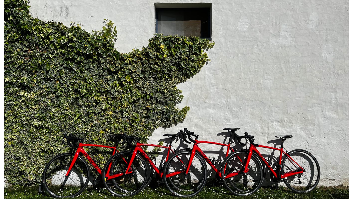Portugal by bike: Alentejo wine country tour