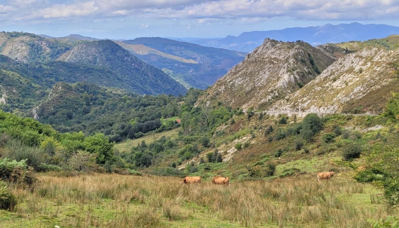 Vuelta a España: the best memories