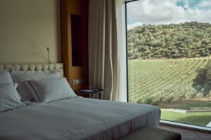 Valbusenda Hotel Bodega and Spa